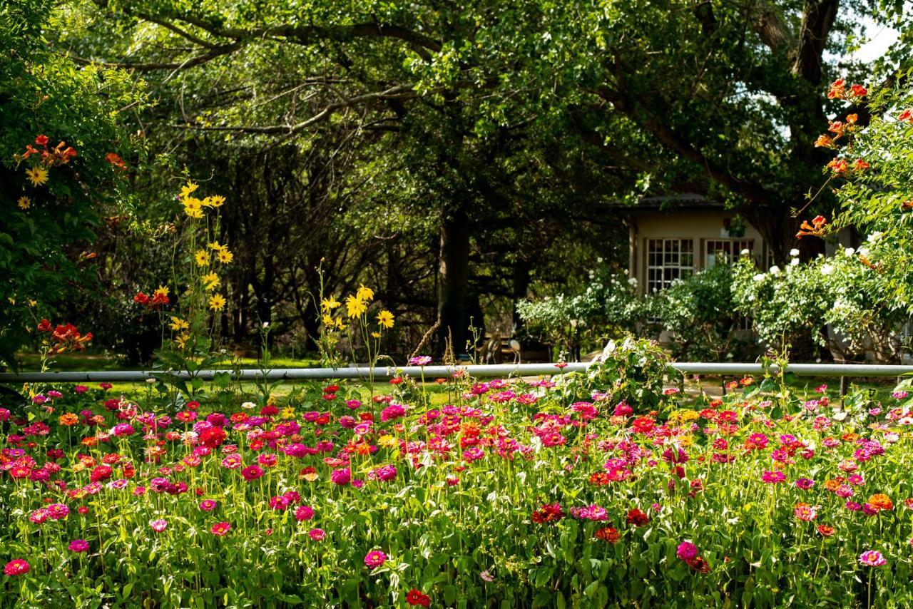 Wetlands Country House & Sheds Wakkerstroom Extérieur photo