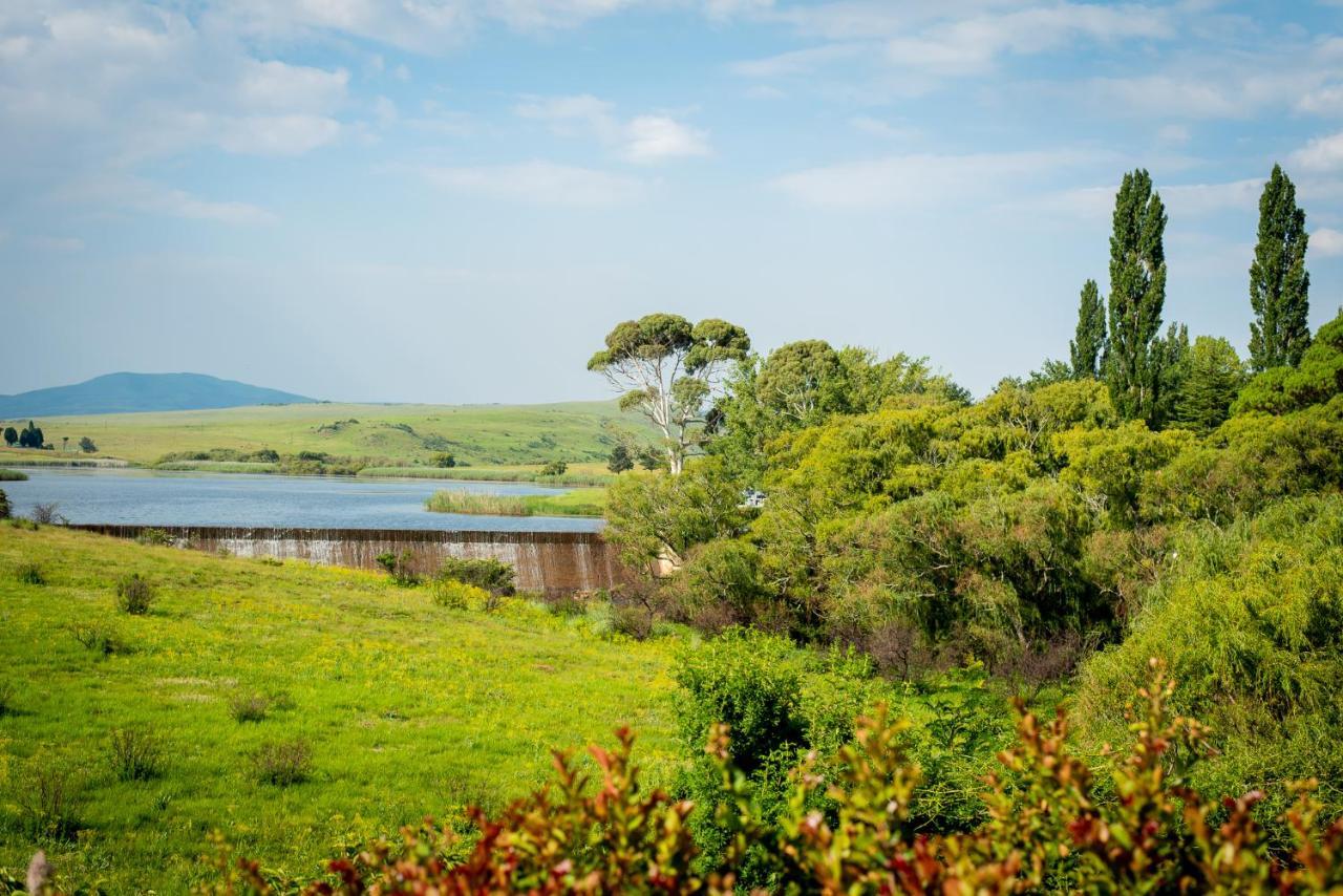 Wetlands Country House & Sheds Wakkerstroom Extérieur photo