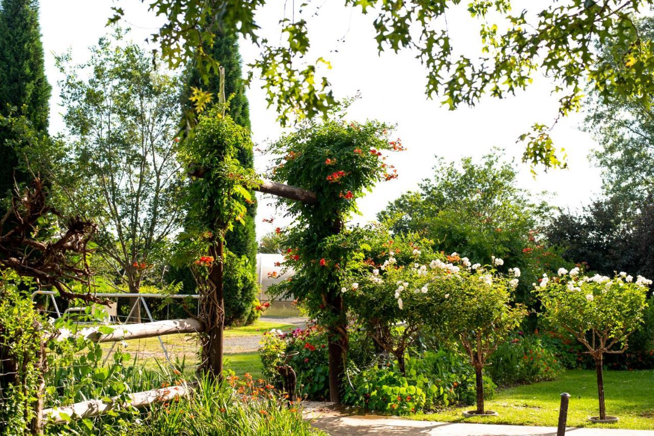 Wetlands Country House & Sheds Wakkerstroom Extérieur photo